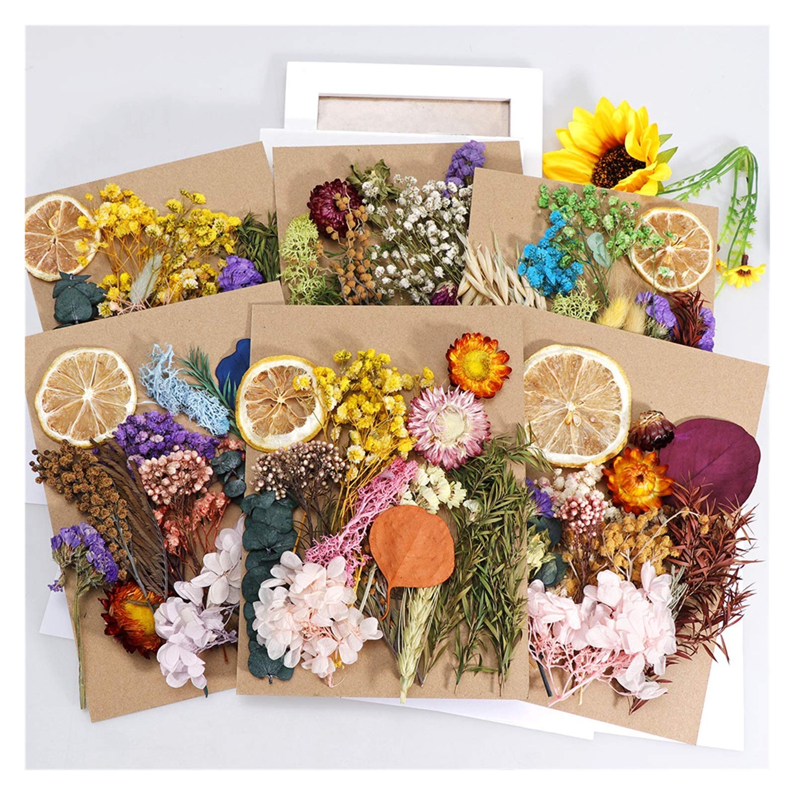 12pcs Real Dried Flowers for DIY Crafts - Natural Dried Botanicals for Aromatherapy Candles, Epoxy Resin Jewelry Making, Pendant Necklaces & Home Decor - Perfect for Wedding Bouquets, Gift Wrapping & Scrapbooking