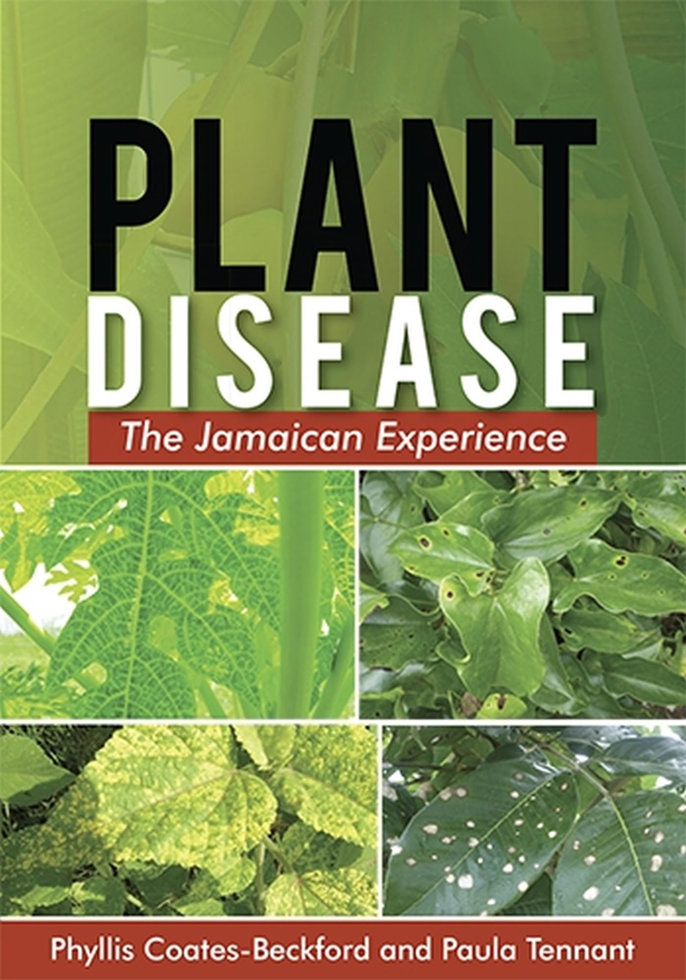 Plant Disease Management in Jamaica: Causes, Prevention & Solutions for Healthy Crops | Ideal for Farmers & Gardeners