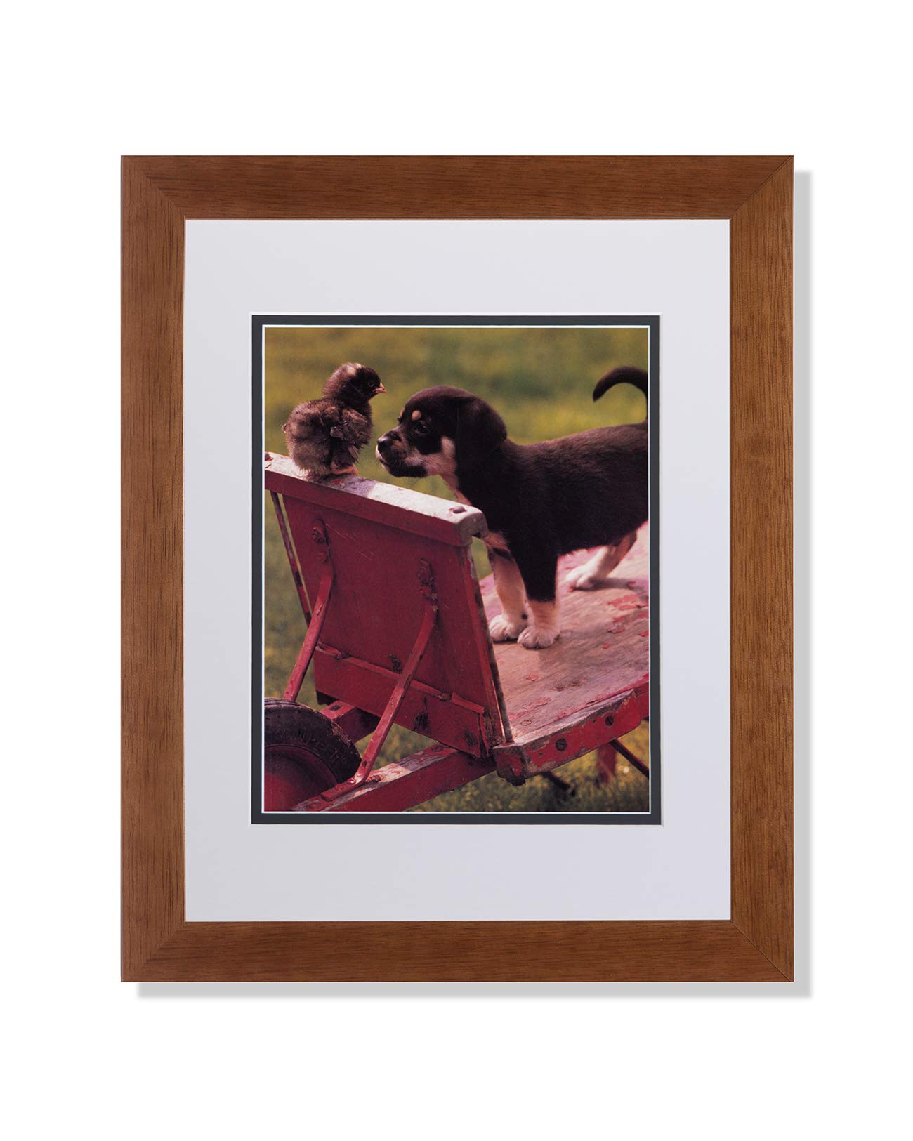 Puppy Dog with Baby Chicken Sitting on Wheelbarrow Art Print - Honey Framed with White Bevel Mat - Wall Decor for Nursery, Living Room & Office