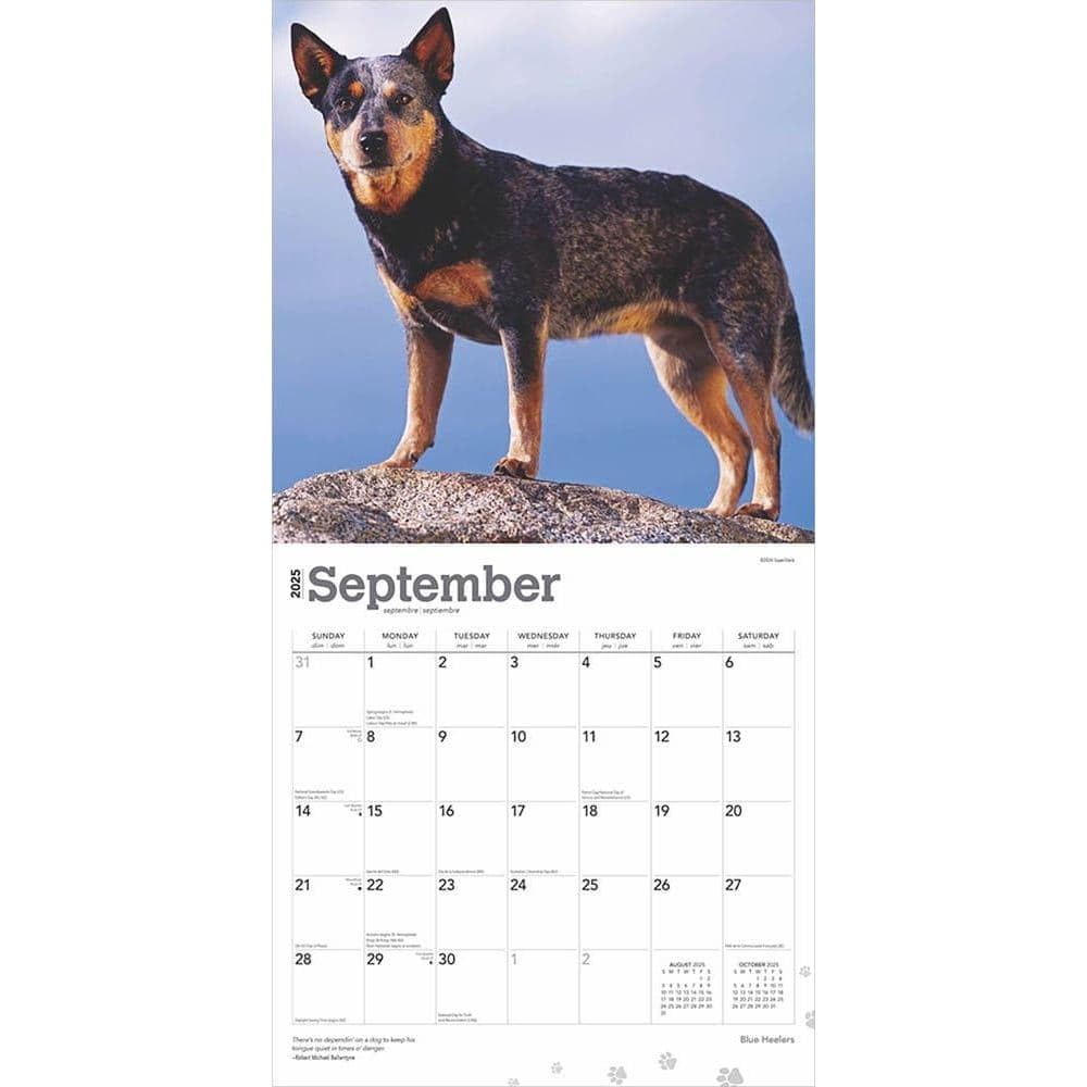 2025 Brown Trout & Blue Heelers Wall Calendar - Fishing & Dog Lovers Monthly Planner for Home, Office, or Gift