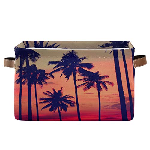 Sunset Palm Tree
