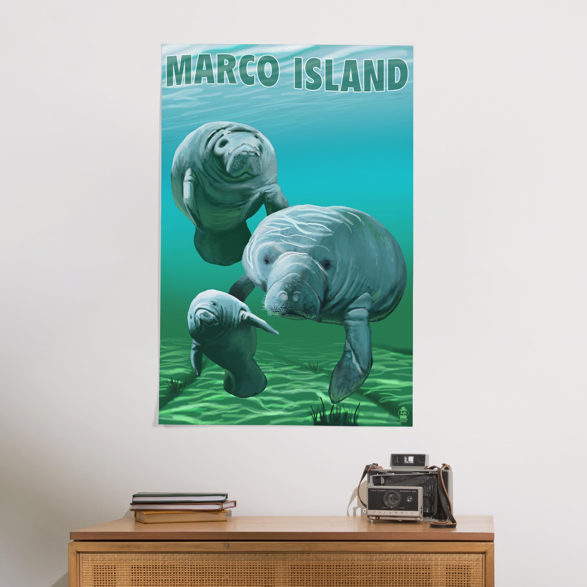 Lantern Press 24x36 Inch Giclee Art Print - Marco Island Manatees Wall Decor | Premium Canvas Painting for Living Room, Bedroom & Office