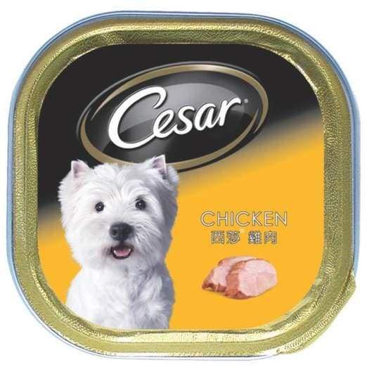 Premium Cesar Chicken Pate Tray Dog Food - 100g Wet Food for Small & Medium Dogs | Perfect for Mealtime, Training Treats & Senior Dogs with Soft Food Needs