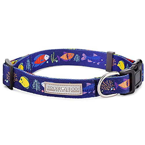 Mackey Collar Only