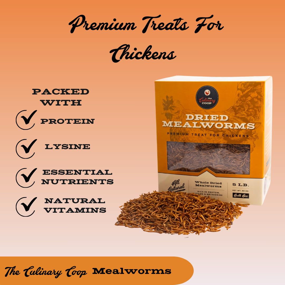 Fluker's Culinary Coop Premium High-Protein Dried Mealworms - 10lb Bulk Chicken Treats for Birds & Reptiles | Nutritious Pet Food Supplement for Backyard Chickens, Wild Birds & Exotic Pets