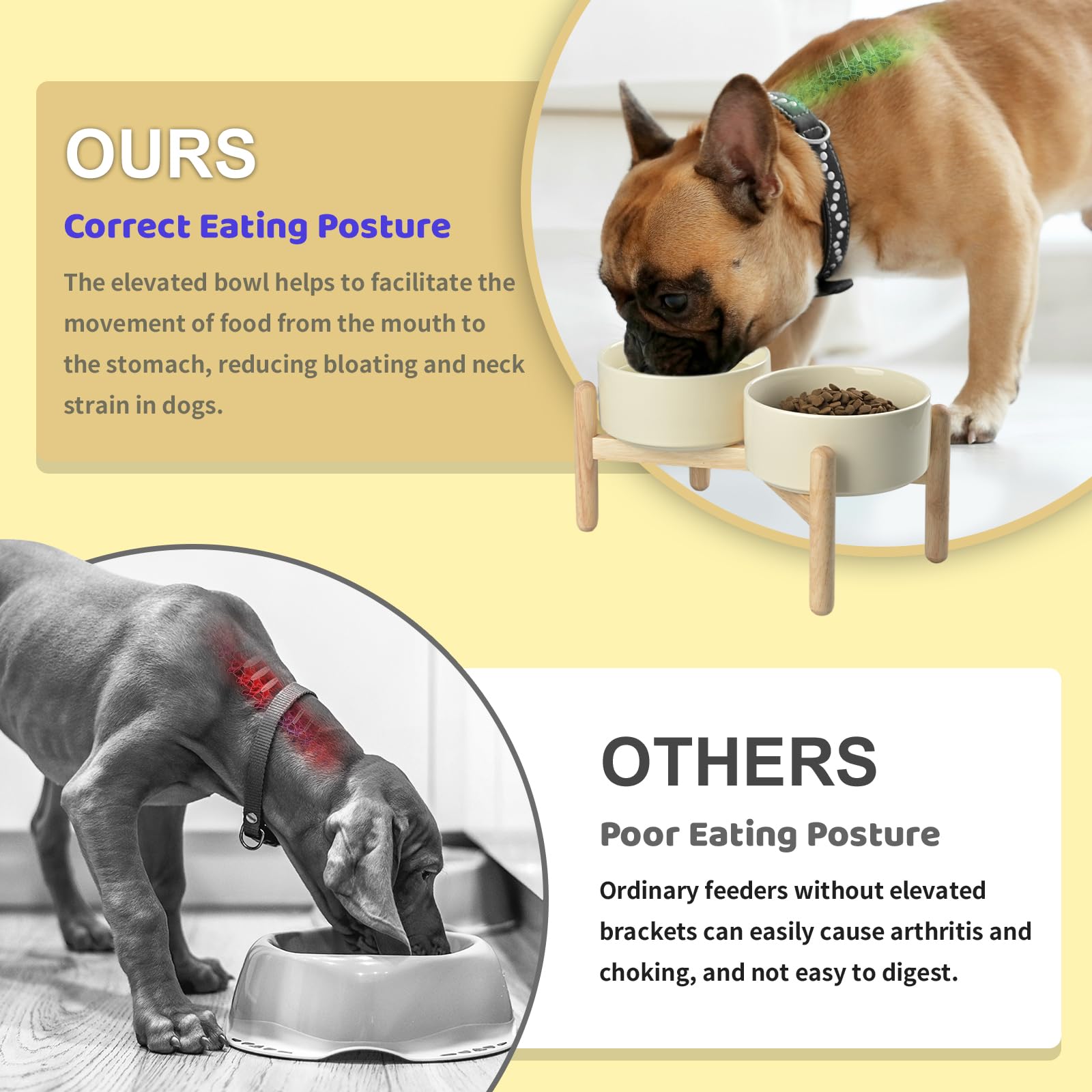 SPUNKYJUNKY Elevated Dog Bowls with Wooden Stand - 28.7oz Ceramic Raised Pet Food & Water Bowls for Small to Medium Dogs (Cream White) - Perfect for Dining Areas, Kitchens & Pet Feeding Stations