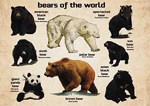 Bears Of The World 1