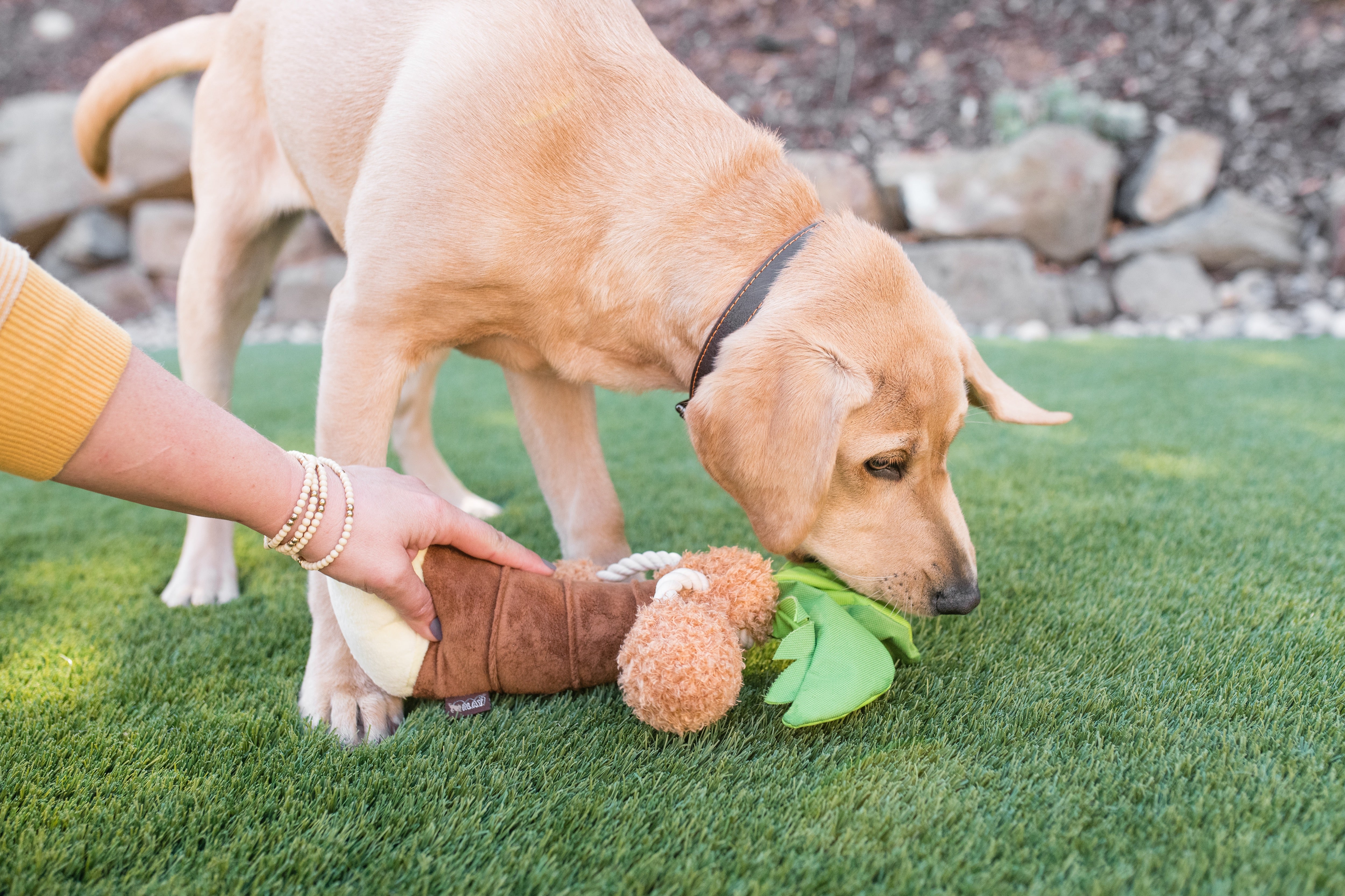 Tropical Paradise™ Dog Plush Toy - La Palma Soft Chew Toy for Dogs | Durable & Safe Pet Play | Perfect for Indoor & Outdoor Playtime