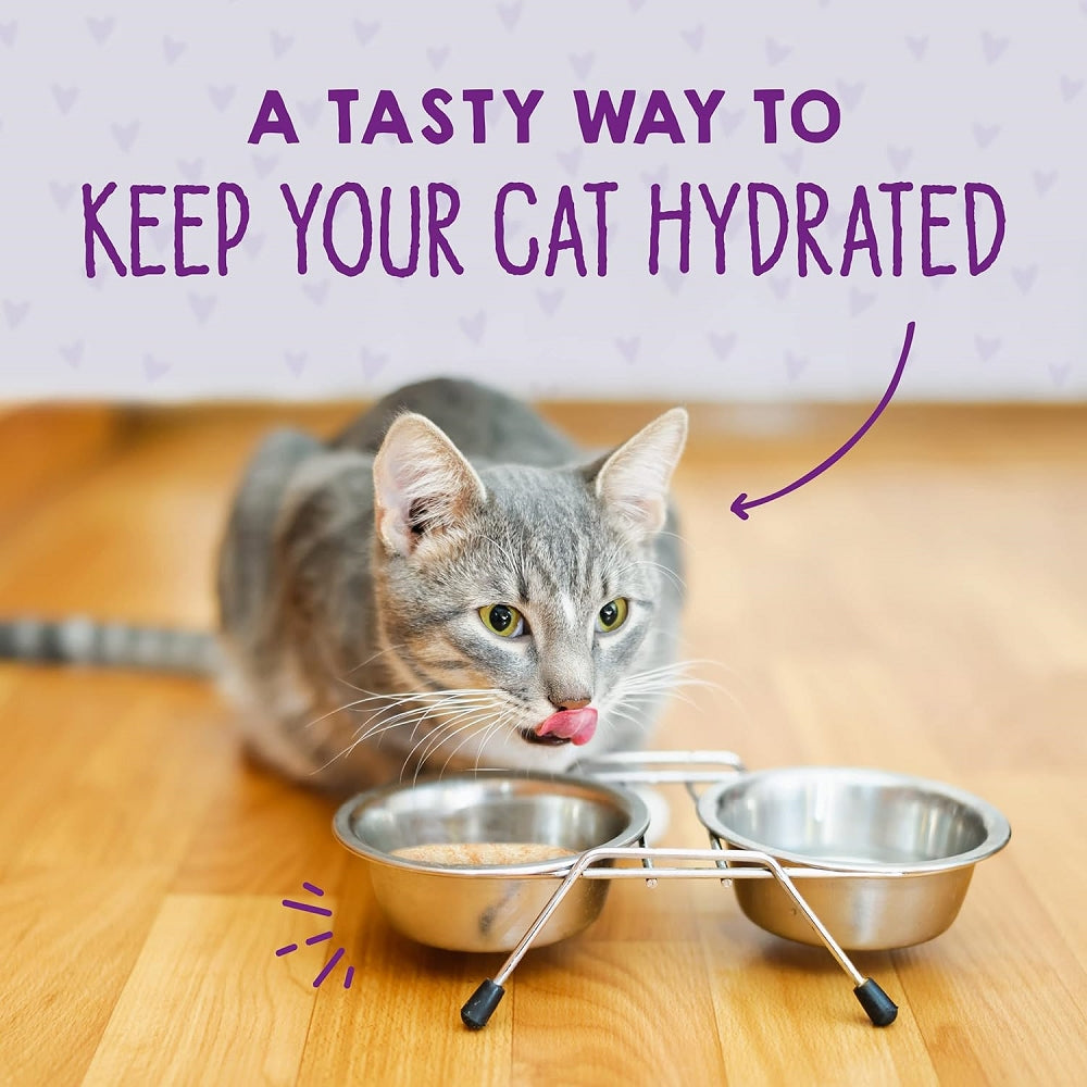Premium Grain-Free Wet Cat Food - Carnivore Cravings Adult Tuna & Pumpkin Recipe | 100% Complete Balanced Diet for Cats | Perfect for Indoor Cats & Picky Eaters