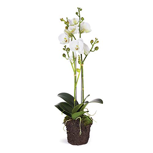 NAPA Home & Garden 2-Pack Phalaenopsis Orchid Drop-in Arrangement - 23 Inch Artificial Flowers for Home Decor, Wedding Centerpieces & Office Decorations