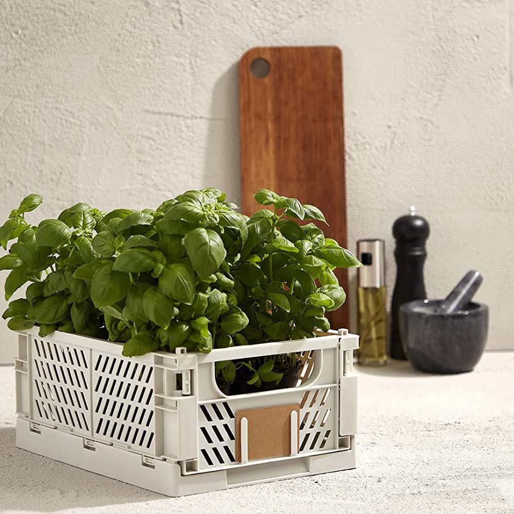 DESIGNSTUFF Slant Collapsible Storage Crate - Large 50x33cm Foldable Organizer Basket, Natural Straw Material for Home, Office & Outdoor Use