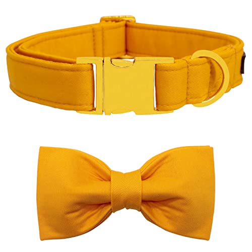 suit-yellow