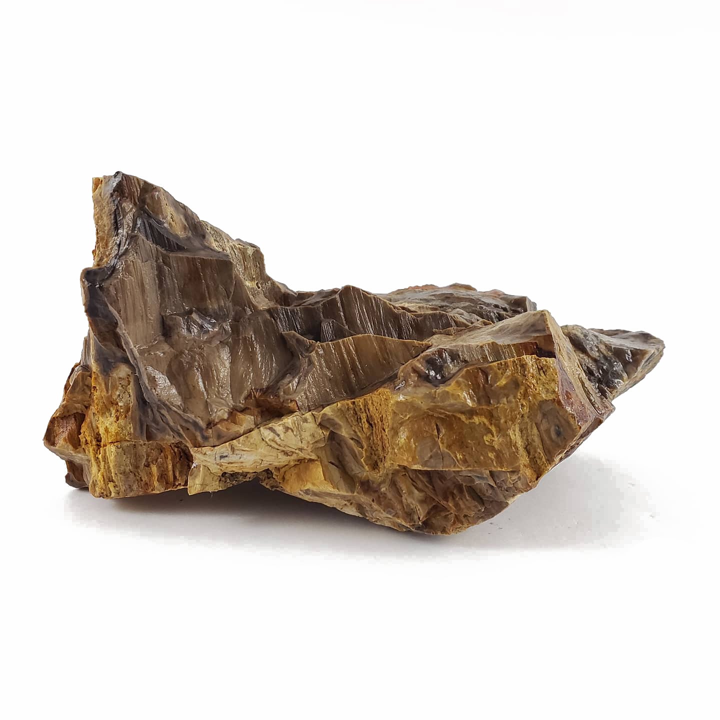 Premium Petrified Wood Stones - 44 Lbs Box of Medium-Sized Natural Petrified Wood for Landscaping, Aquariums, and Home Decor