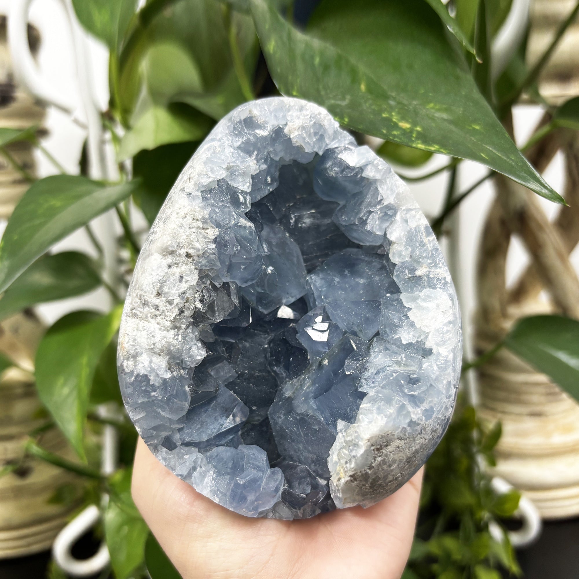 Natural Celestite Crystal Geode - Blue Healing Gemstone for Meditation, Energy Work & Spiritual Décor | Chakra Balancing, Home Office Decor, Gift for Crystal Lovers (RGD774)