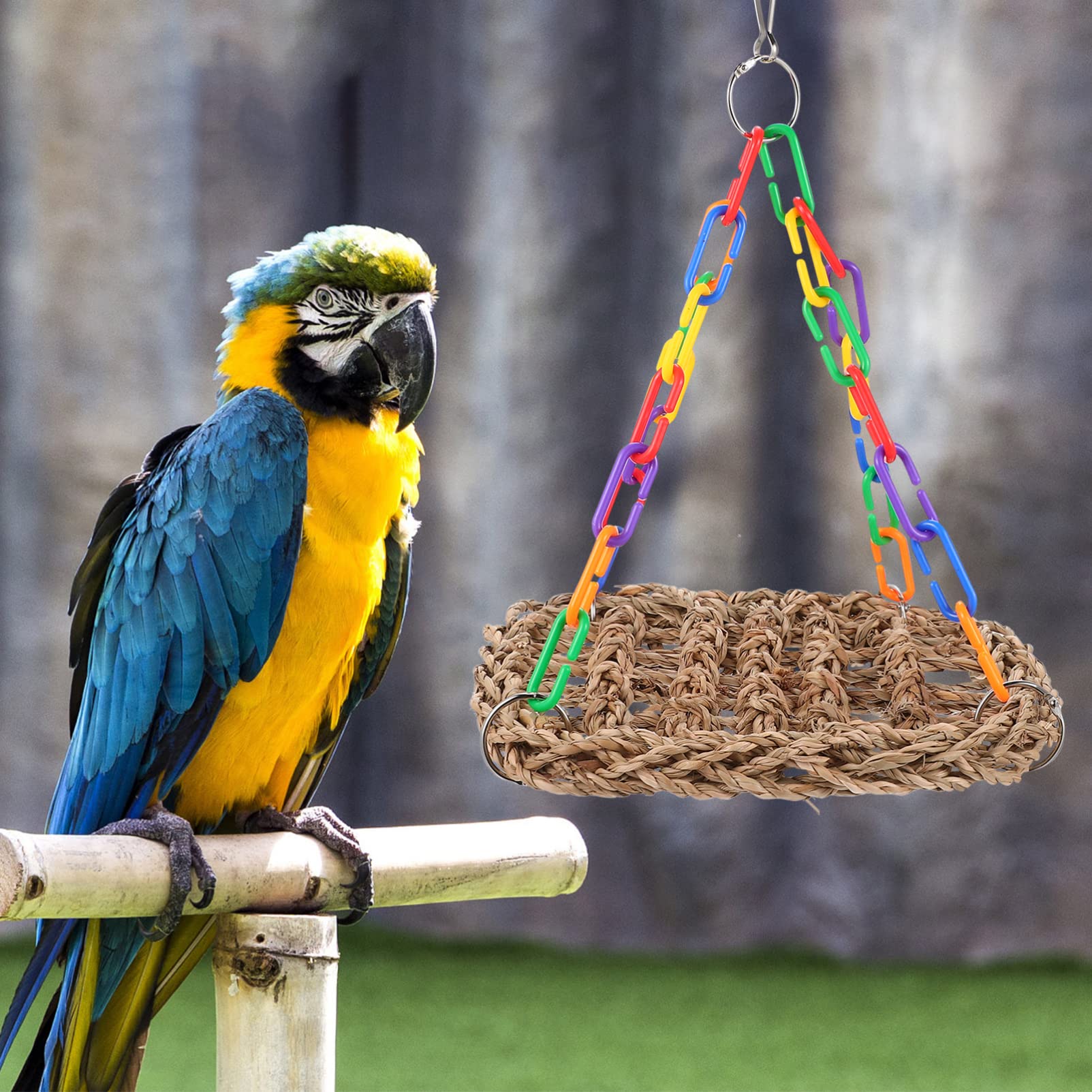 POPETPOP Bird Cage Swing - Woven Bird Perch for Budgies & Parakeets - Natural Wooden Chew Toy & Shredder - Hammock & Climbing Accessories for Parrots - Safe Teng Grass Plaything - Perfect for Cage Enrichment & Playtime