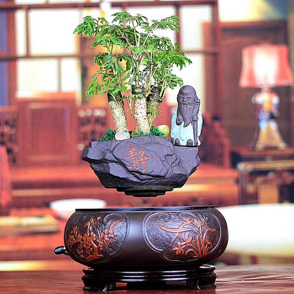 Magnetic Levitating Air Bonsai Pot - Floating Flower Planter with Creative Design for Home & Office Decor - Unique Gift Idea for Plant Lovers (Perfect for Desk Decor, Zen Gardens, and Modern Interior Design)