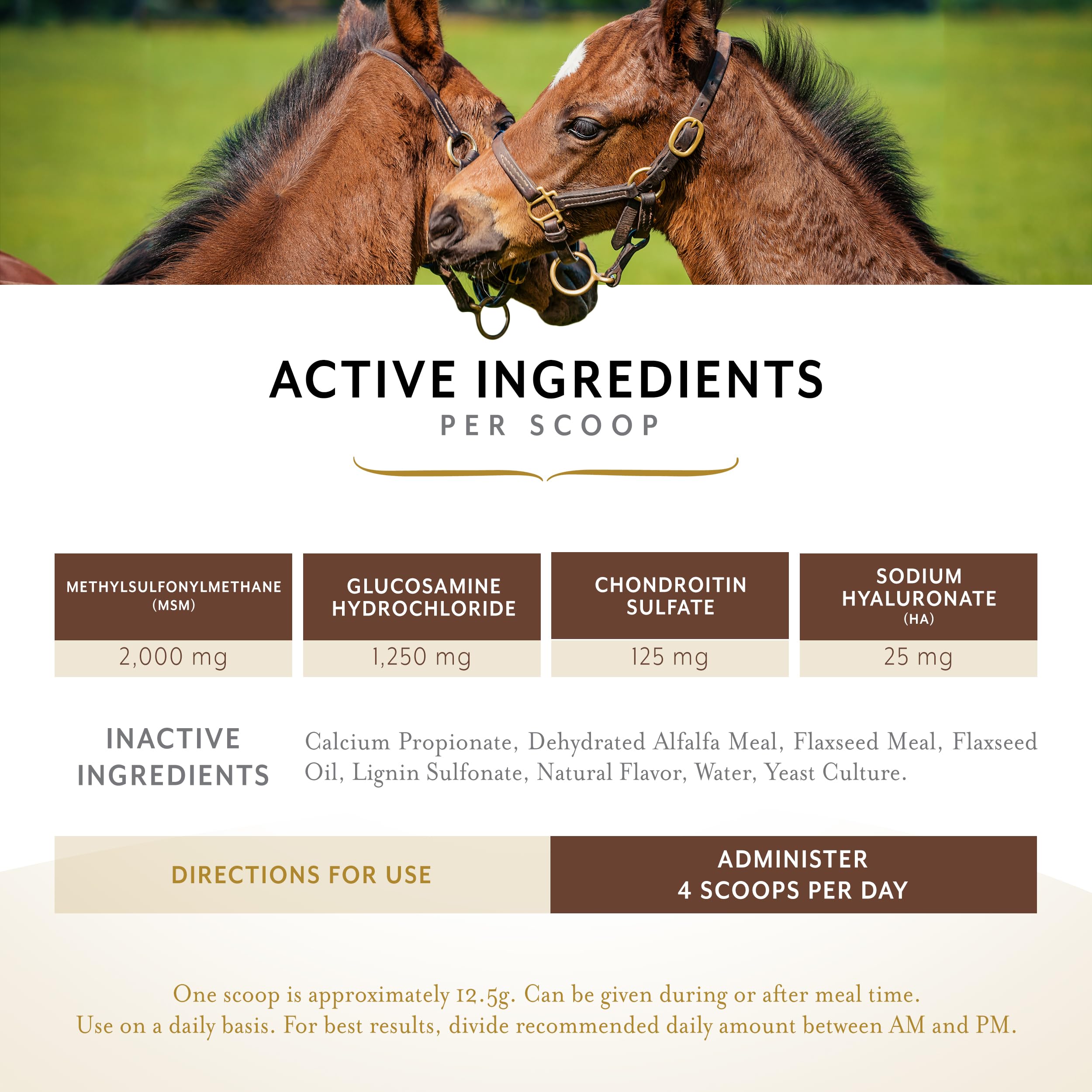 Equithrive Classic Joint Supplement Pellets for Horses - Glucosamine, Chondroitin, Hyaluronic Acid & MSM Formula - Supports Joint Health & Mobility for Senior & Active Horses (10 lb) - Ideal for Training, Recovery & Daily Joint Care