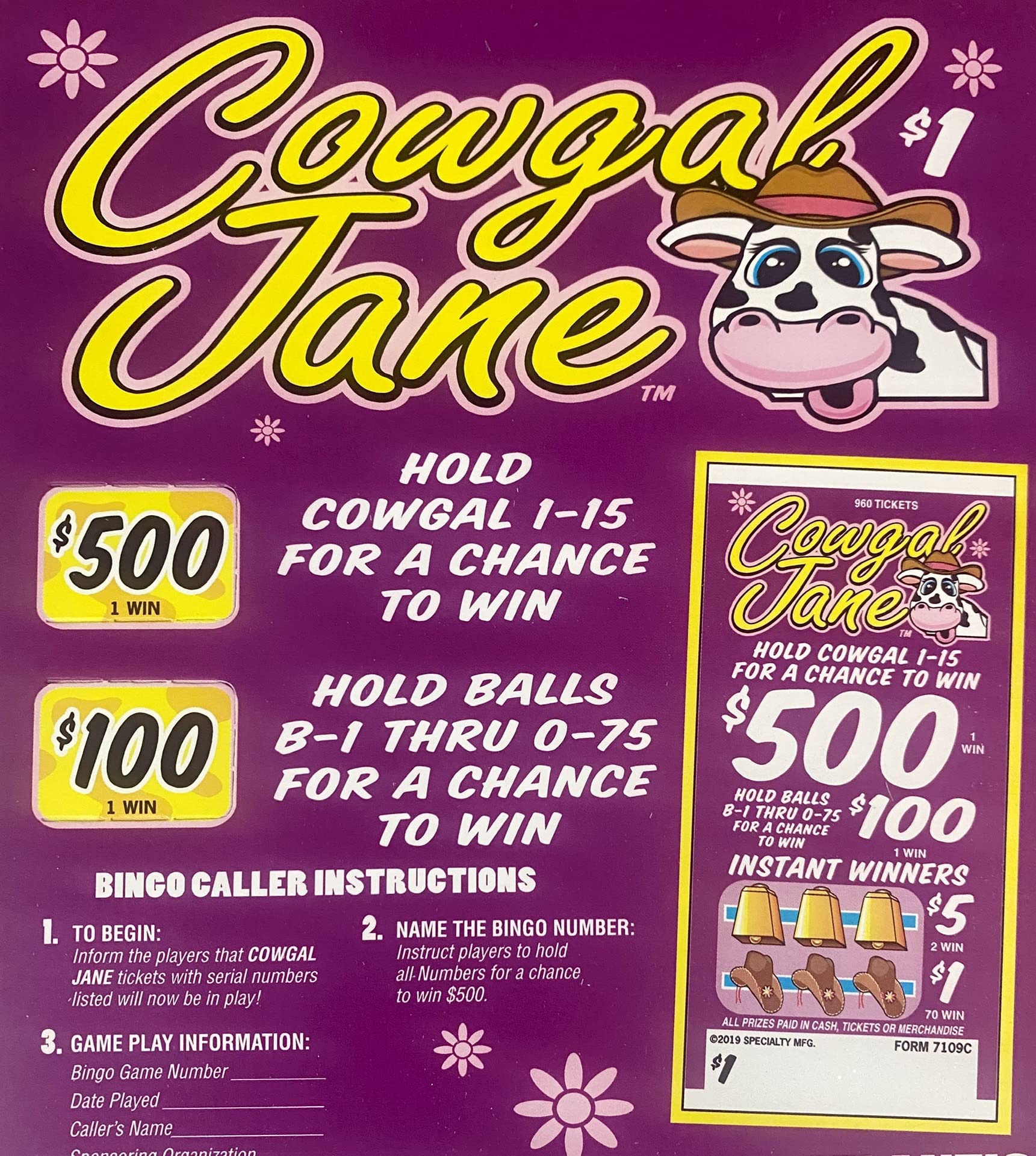 Cowgirls $500 Horse Race Bingo Pull Tabs Game - Fun Western-Themed Gambling Game for Parties, Bars & Fundraisers