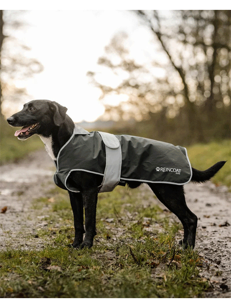 ReinCoat Waterproof Dog Coat for Small Medium Large Dogs - Warm Winter Jacket with Reflective Strips for Outdoor Walking, Hiking & Camping