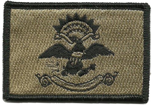 Coyote