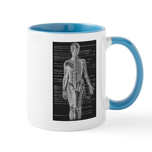 White/Blue Inside - Human Anatomy Chart Mug