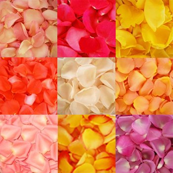 6000 Fresh Rose Petals Assorted Colors - Bulk Natural Dried Flowers for DIY Wedding Decor, Bath Bombs, Soap Making & Romantic Scatter - Perfect for Home Crafts, Events & Gift Giving