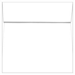 Secure Fingerprint Card Envelopes - 250 Pack (6.5x3.5 Inches) for Law Enforcement, Background Checks & Official Documentation - Acid-Free Archival Quality Paper for Long-Term Storage
