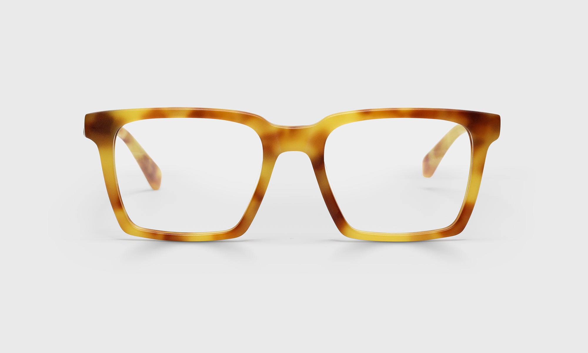 04 - Blonde Tortoise Front and Temples