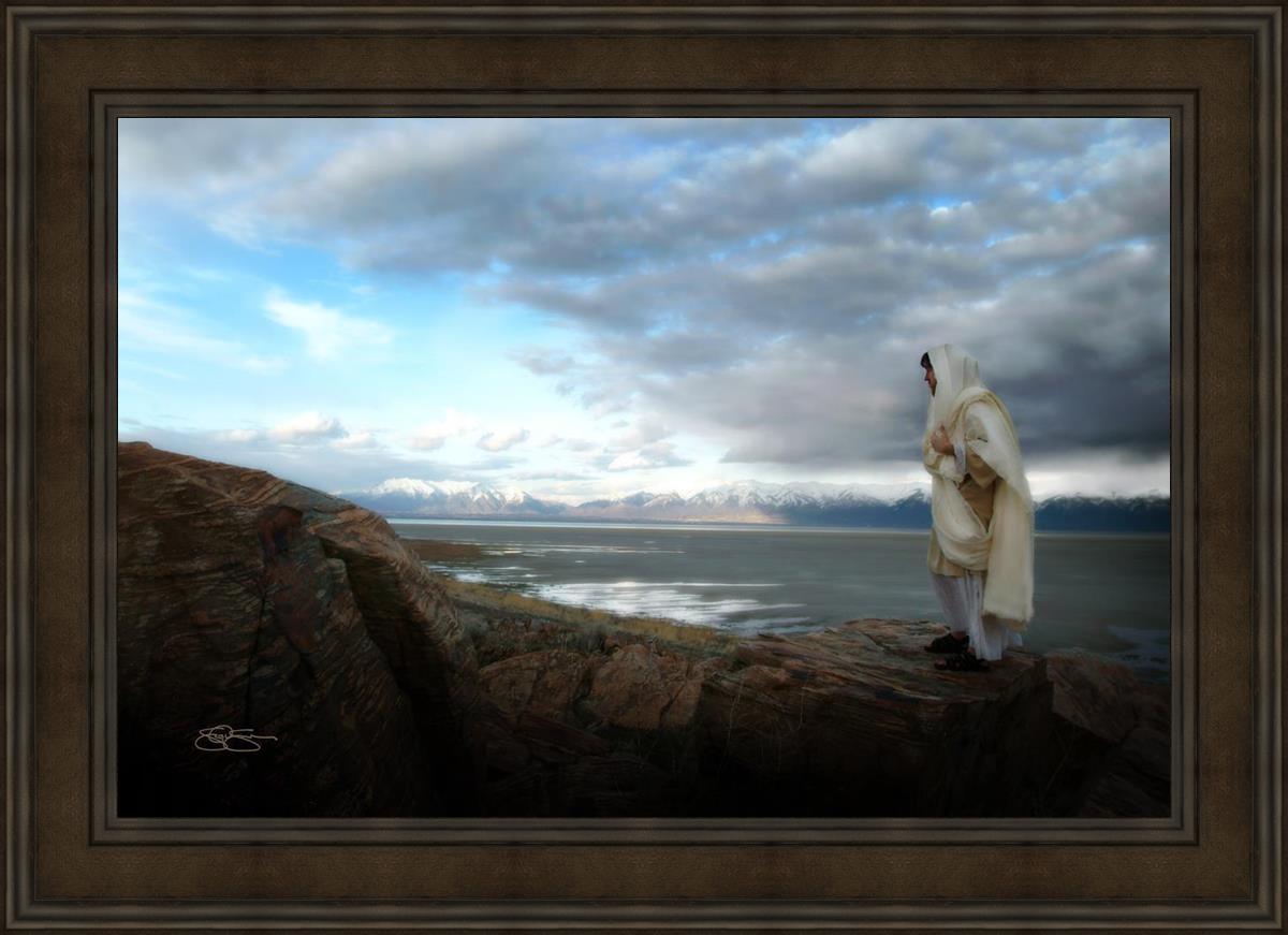 Alone Shepherd Book by Scott Sumner - Inspirational Christian Fiction for Personal Growth & Faith Journey | Perfect for Book Clubs, Bible Study Groups & Quiet Reflection Time