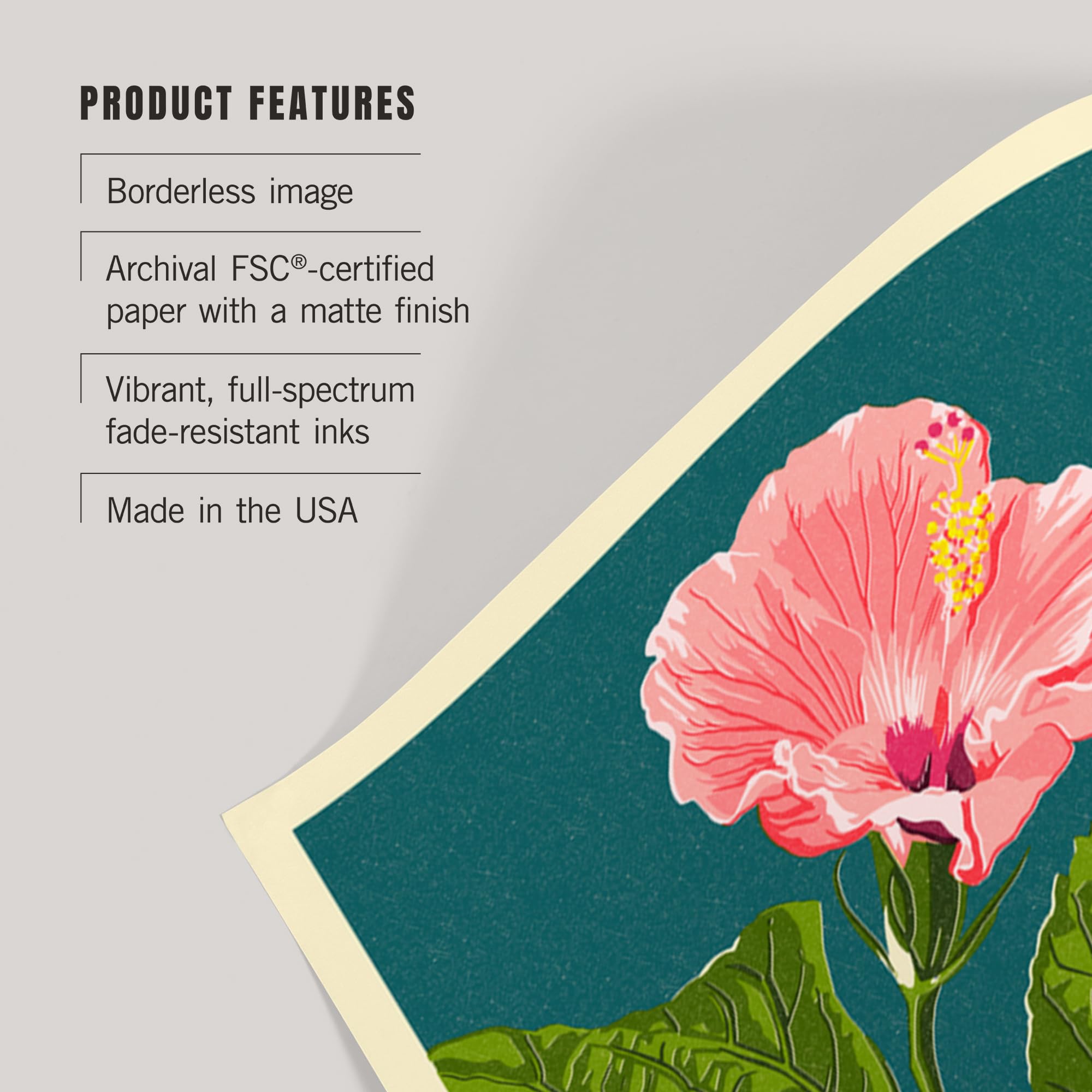 Lantern Press 16x24 Inch Giclee Art Print - Bermuda Pink Hibiscus Floral Wall Decor | Perfect for Living Room, Bedroom & Office