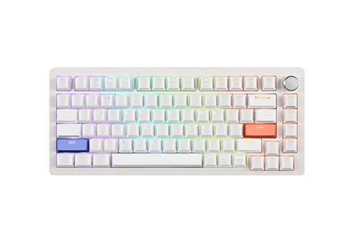 White-OEM-ABS