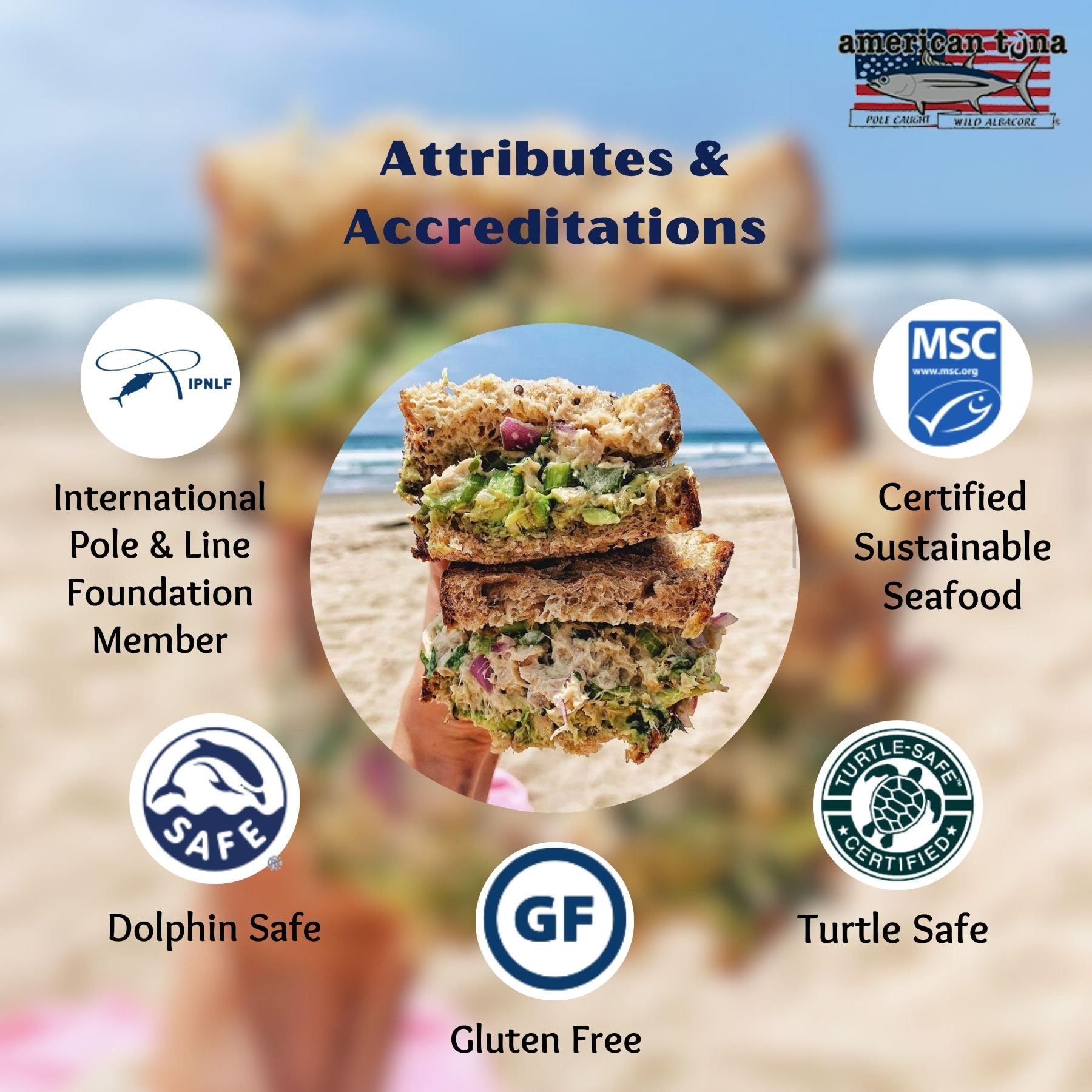 Premium Wild Albacore Tuna in Water - No Salt Added, MSC Certified, Sustainably Pole & Line Caught | 12-Pack 6oz Cans | High Protein, Low Mercury, Keto & Paleo Friendly | Perfect for Salads, Sandwiches & Meal Prep