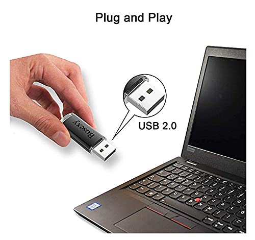 Bosexy 1GB USB Flash Drives 10 Pack - USB 2.0 Thumb Drives with LED & Lanyards for Office & School