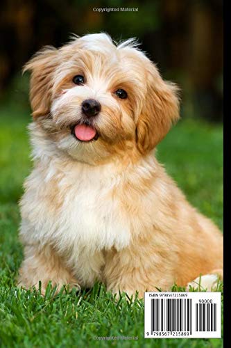 Havanese Dog Lovers Notebook - 6x9