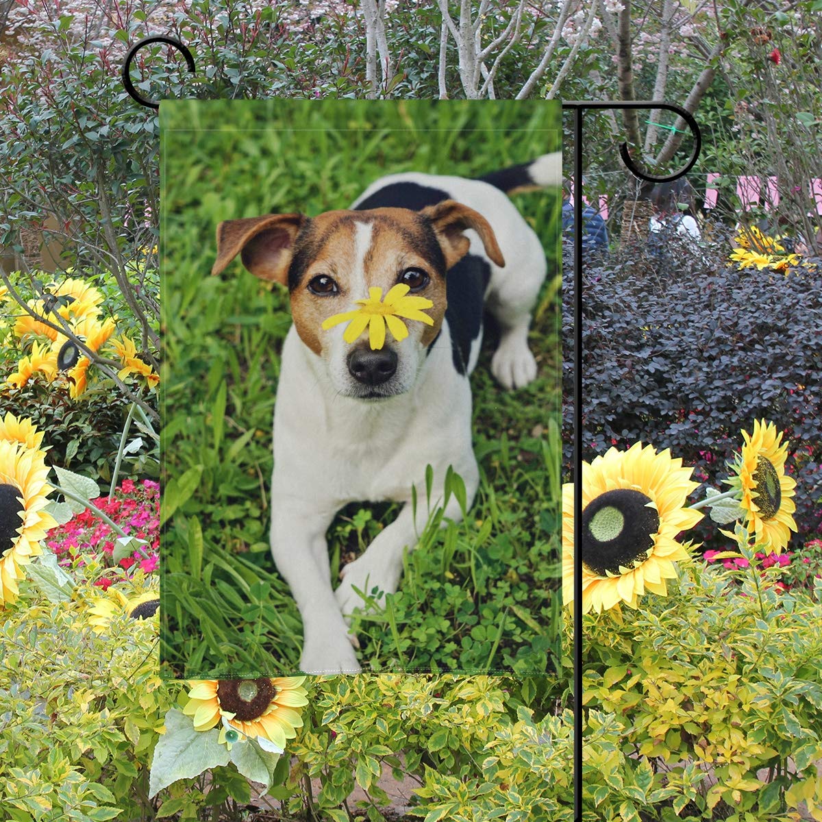 Cute Jack Russell Terrier Dog Garden Flag 28x40 Inch - Double Sided Welcome Yard Decoration for Patio, Lawn & Outdoor Home Decor | Perfect for Seasonal Displays & Pet Lovers