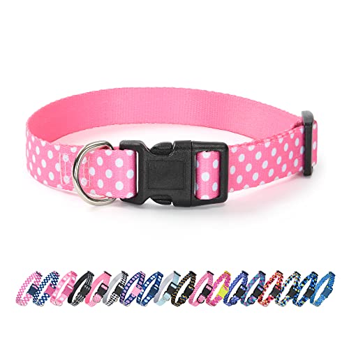 A-Pink Dots