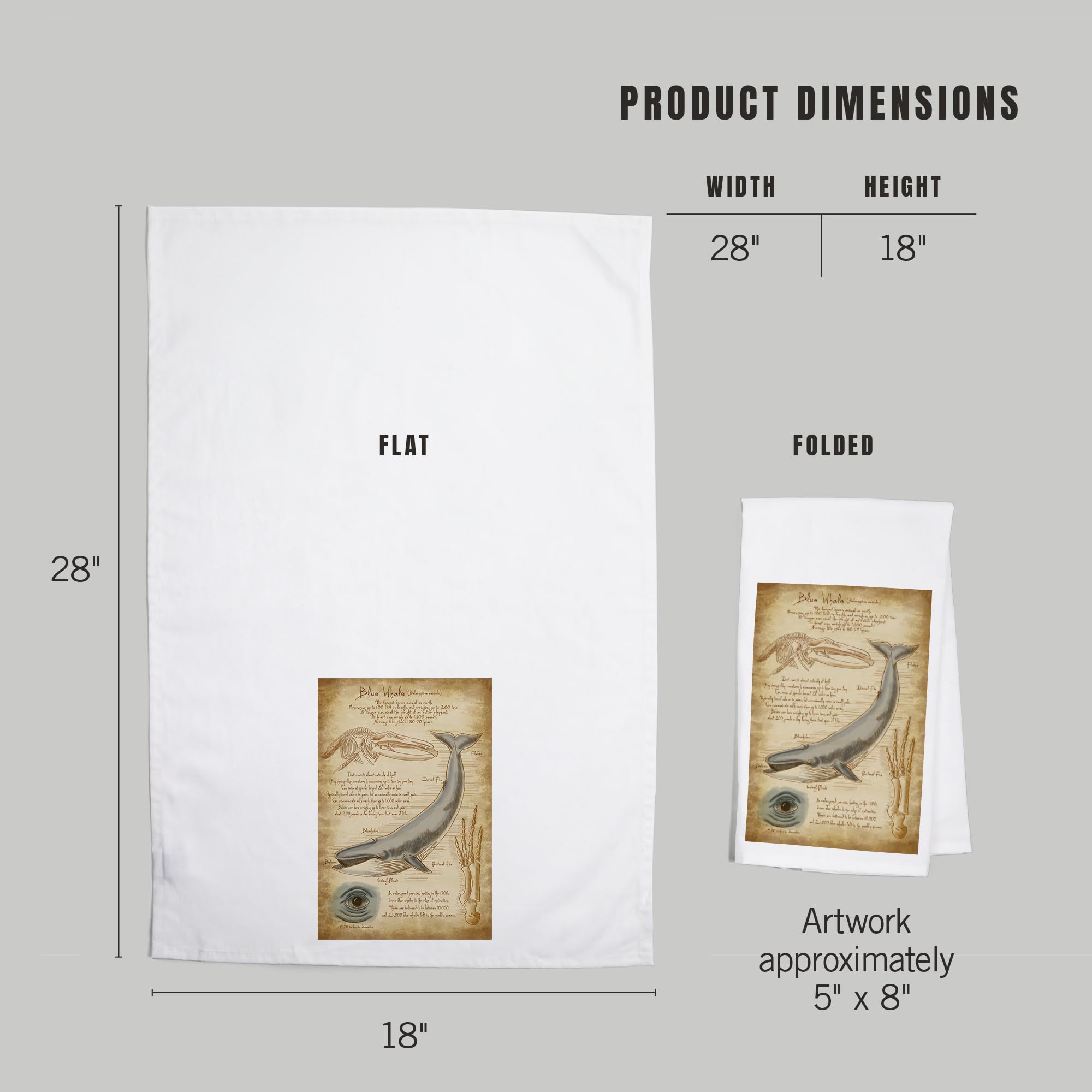Lantern Press Blue Whale & Da Vinci 100% Cotton Tea Towel - Decorative Hand Towel for Kitchen, Bathroom & Home Decor - Perfect for Dish Drying, Gift Giving & Coastal Themed Decor
