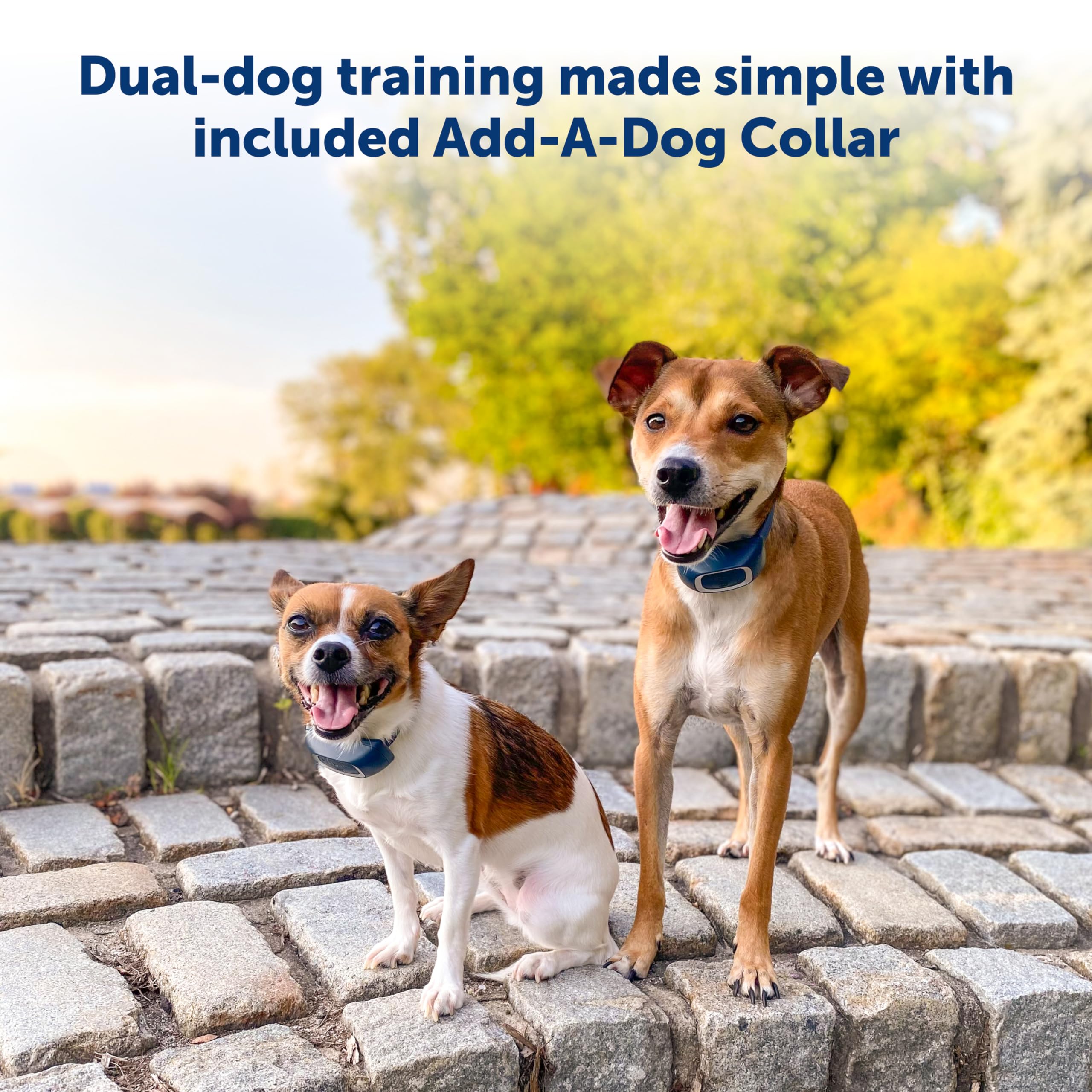 PetSafe 900 Yard Remote Training Collar for Dogs - 2 Dog Kit with Tone, Vibration & 15 Static Stimulation Levels | Long Range Waterproof Rechargeable Collar | Perfect for Off-Leash Training, Hunting & Outdoor Adventures