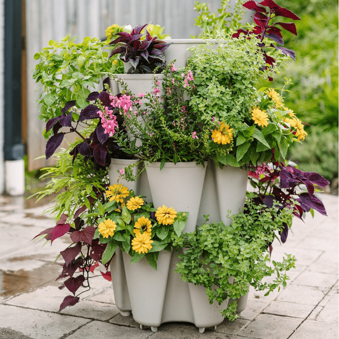 GreenStalk 3-Tier Original Vertical Planter for Herbs, Flowers & Vegetables - Space-Saving Garden Solution for Patio, Balcony & Small Yards