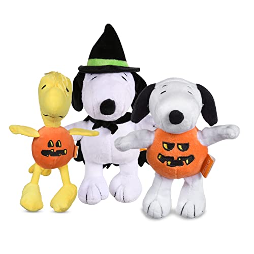 Snoopy Pumpkin,Woodstock Pumpkin & Snoopy Witch