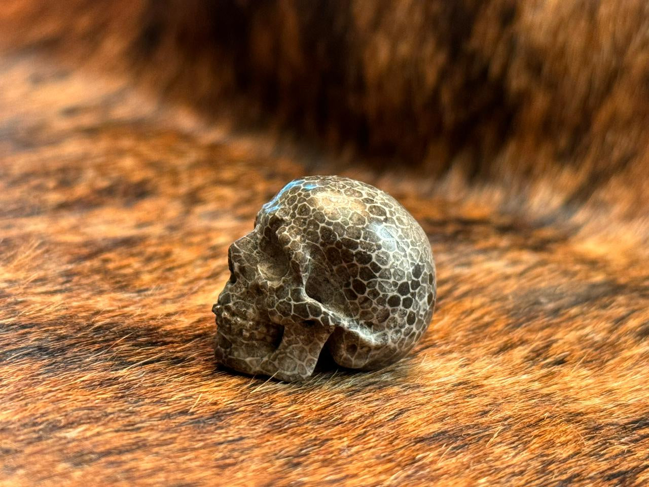 Fossil Coral Skull Necklace - Handmade Natural Stone Jewelry for Men & Women | Boho Chic Style for Beach Parties, Festivals & Everyday Wear