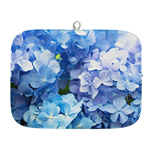 Hydrangea