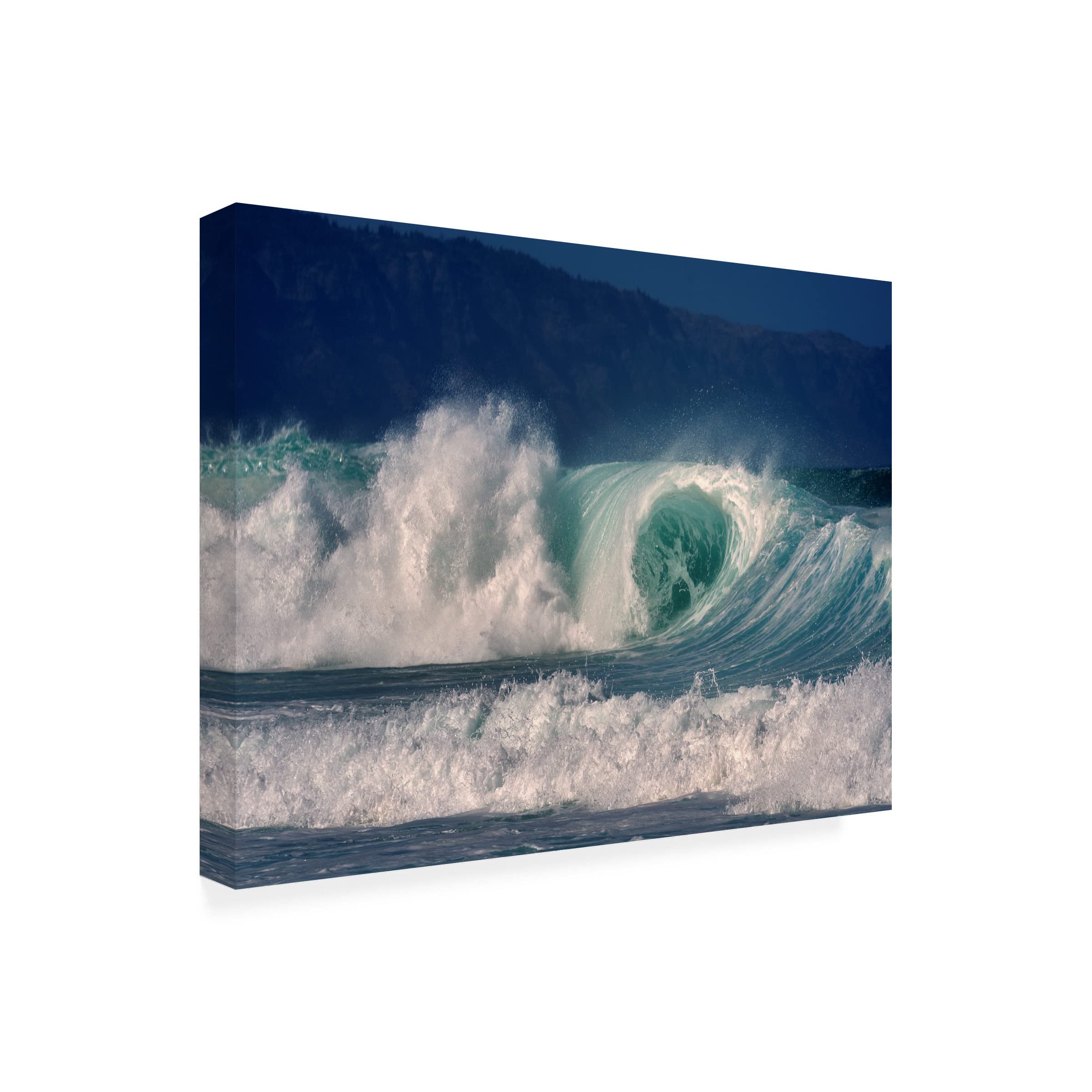Dennis Frates 'Curl' Canvas Wall Art Print - Modern Abstract Painting for Living Room, Bedroom & Office Decor | Trademark Fine Art Collection