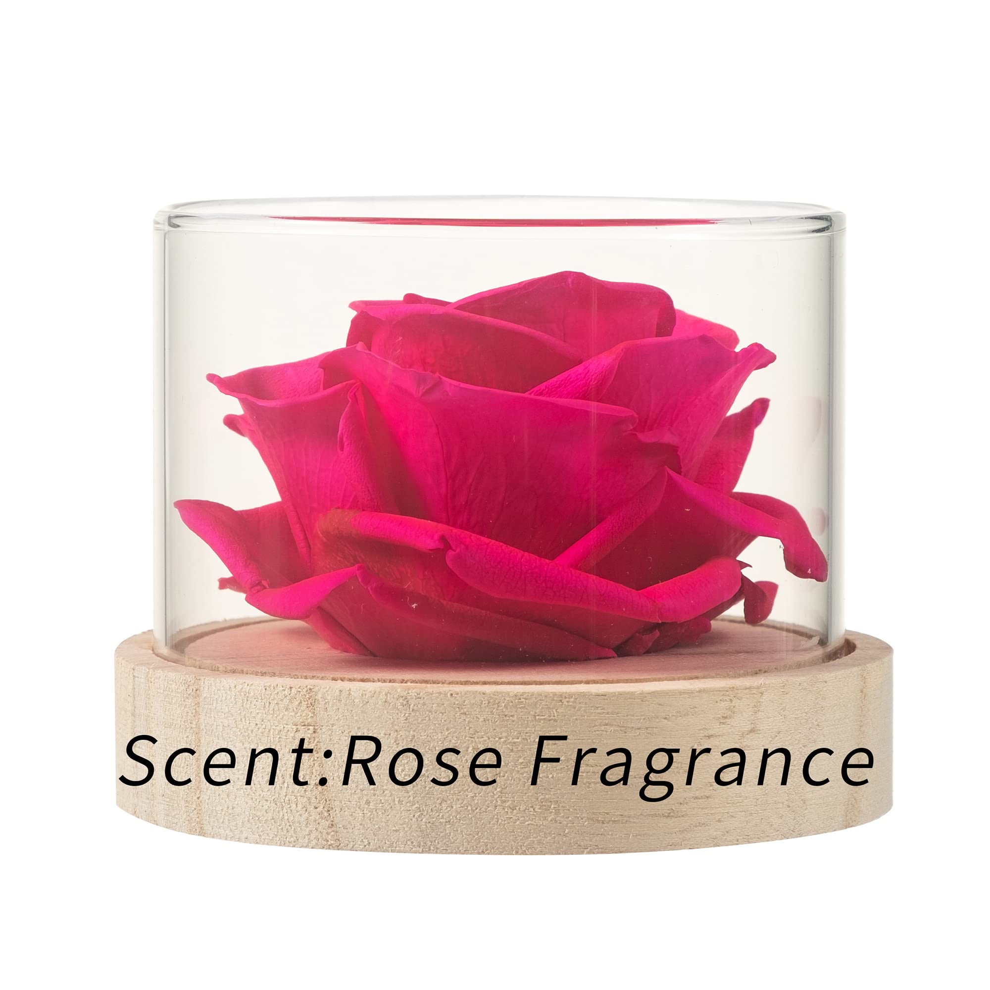 Preserved Real Rose Flower in Hot Pink - Long Lasting Home Scent Fragrance for Valentine's Day, Christmas, Wedding Gift for Her, Mom & Loved Ones | Perfect for Romantic Decor, Anniversary Surprises & Special Occasions