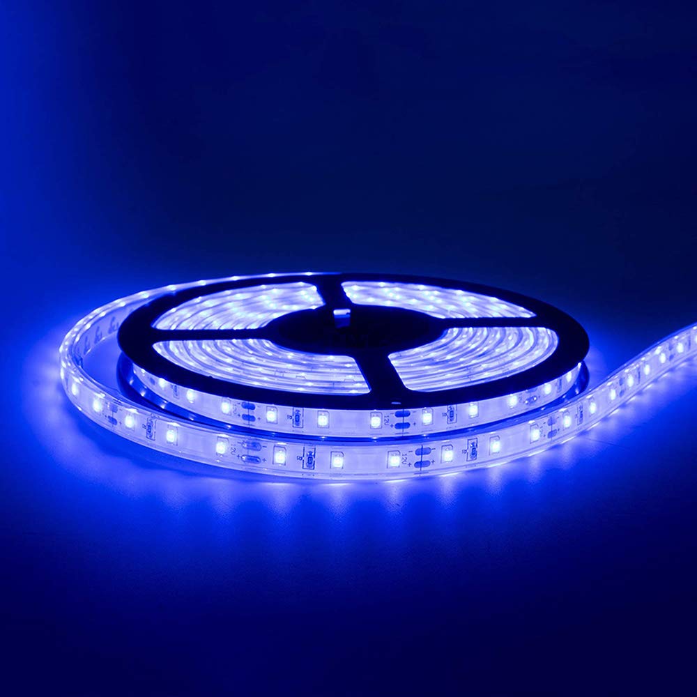 12V Blue LED Strip Light 16.4ft Waterproof Flexible Rope Light with 300 SMD5050 LEDs - Perfect for Home Decor, Bedroom, Party Lighting (12V Power Supply Not Included) - Create Stunning Ambiance for Weddings, Holidays & DIY Projects