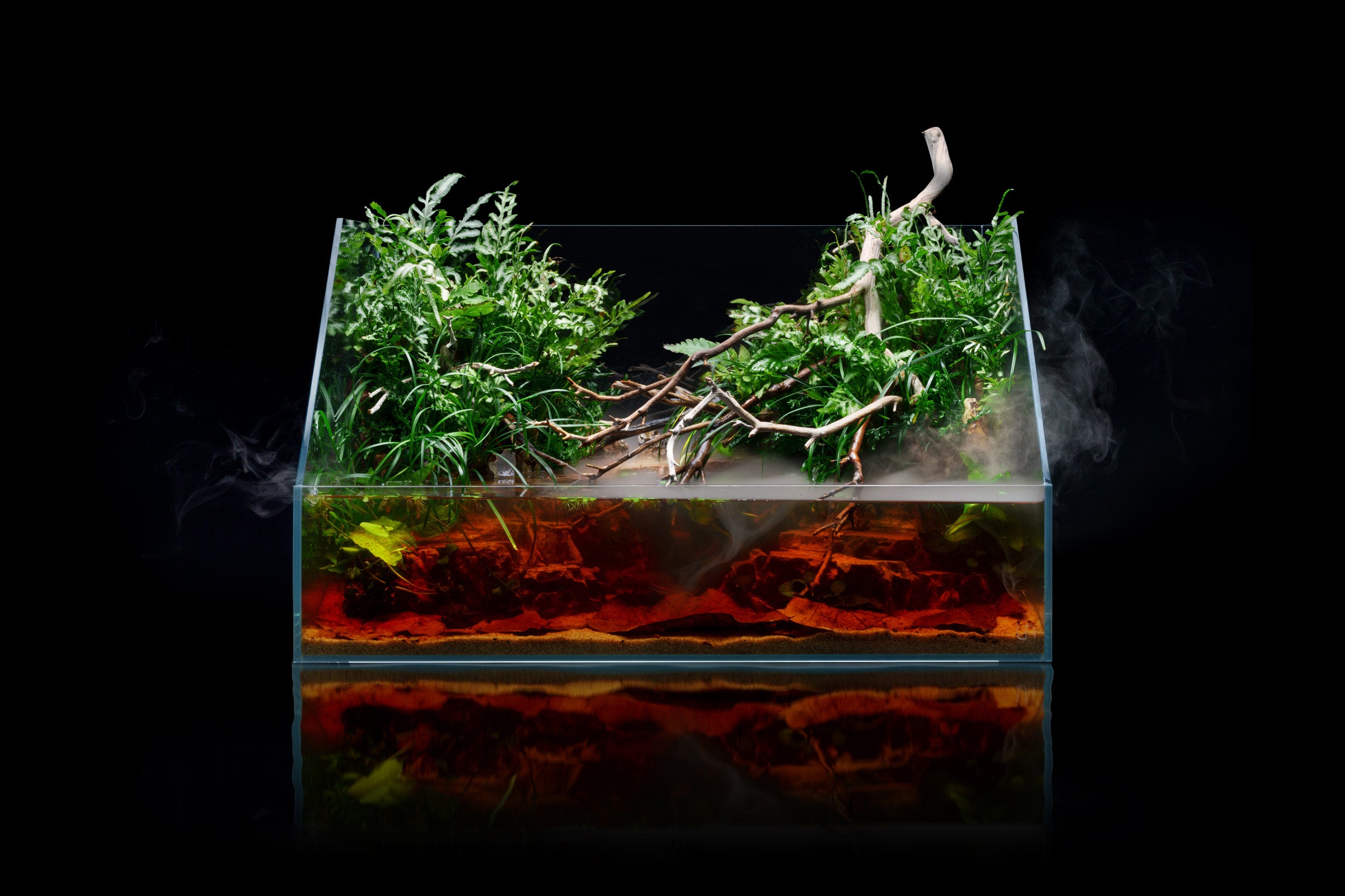 UNS Paludarium Tank System - Premium Aquatic & Terrarium Habitat for Reptiles, Amphibians & Plants | Perfect for Vivariums, Paludariums & Bioactive Enclosures