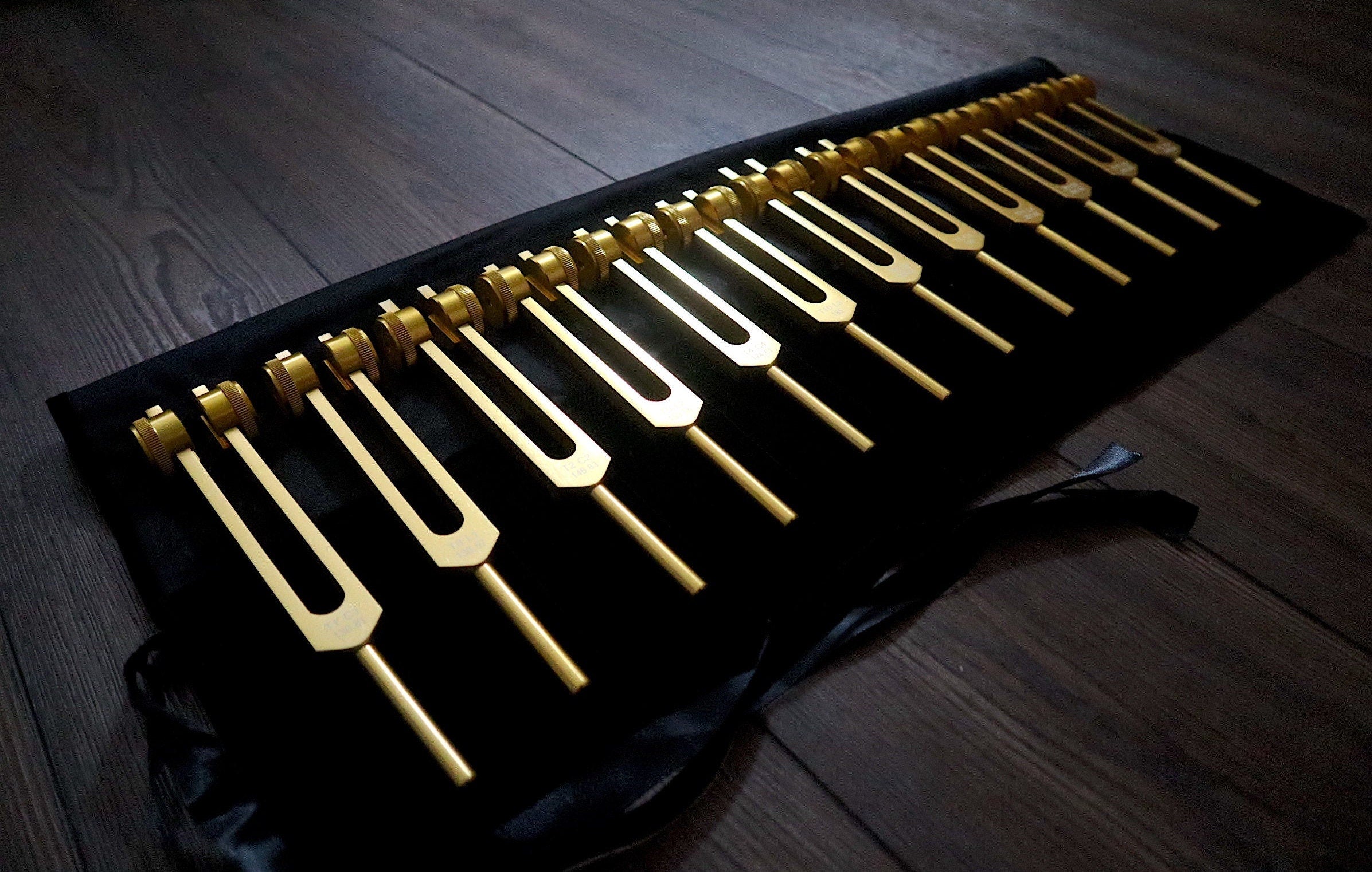 12-Piece Song of the Spine Tuning Fork Set - Professionally Tuned .25 for Biofield, Organs, Tissue & Cells - Sound Vibration Therapy Tools with Storage Bag - Perfect for Energy Healing, Sound Baths & Chakra Balancing
