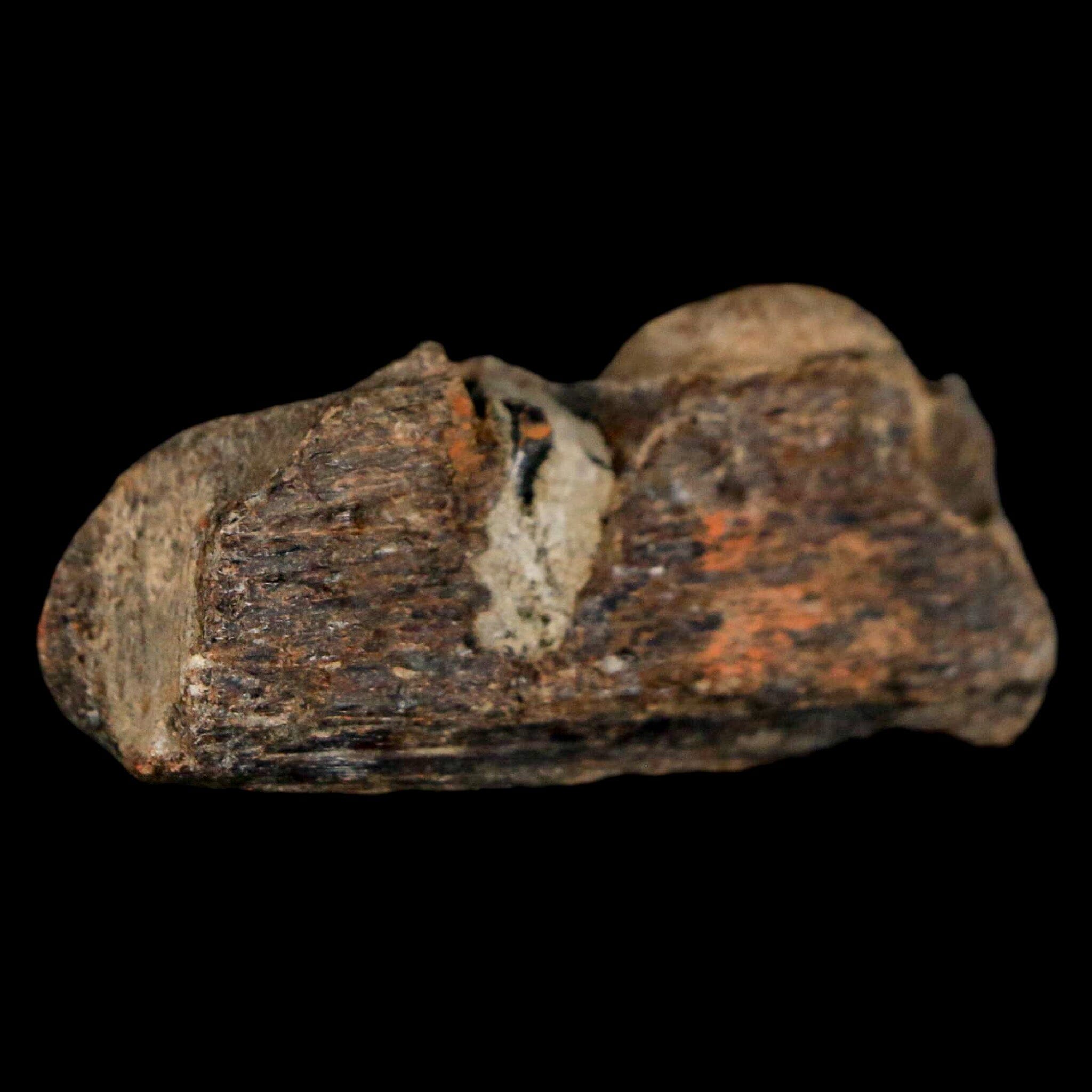 1.6