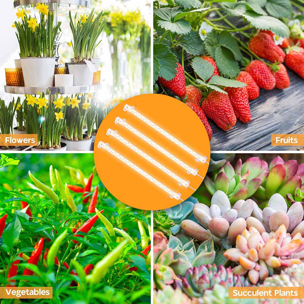 Full Spectrum LED Grow Light for Indoor Plants - 4 Strips with Timer - Perfect for Hydroponics, Greenhouses & Home Gardening