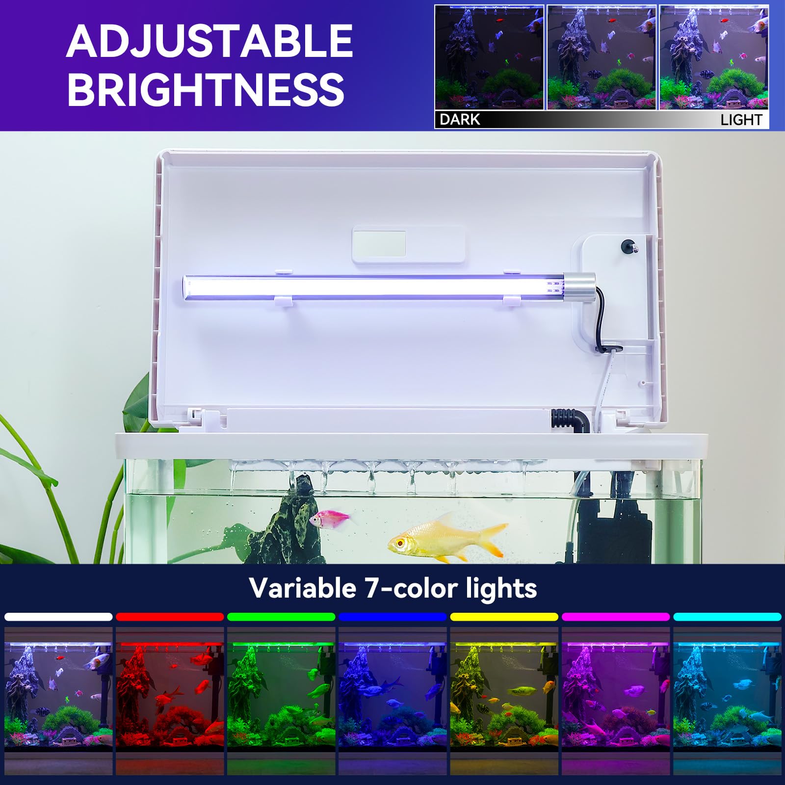 10 Gallon Betta Fish Tank Starter Kit - Smart Timer, 7 LED Lights with Adjustable Brightness, High-Clarity Glass & Efficient Filtration System | Perfect for Home, Office & Classroom Aquarium Setup